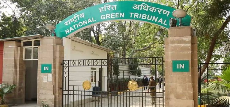 NGT slaps ₹2 crore fine on company for changing course of a natural water channel in Odisha