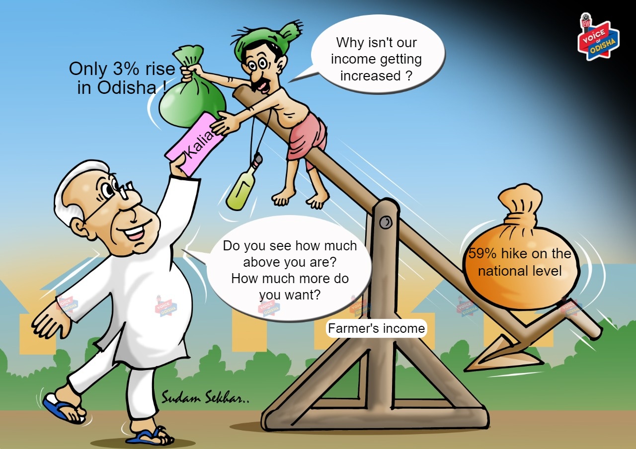 Farmer's income cartoon 
