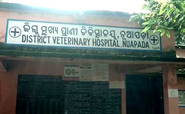 Vigilance raid on the home of the Chief Veterinary Officer