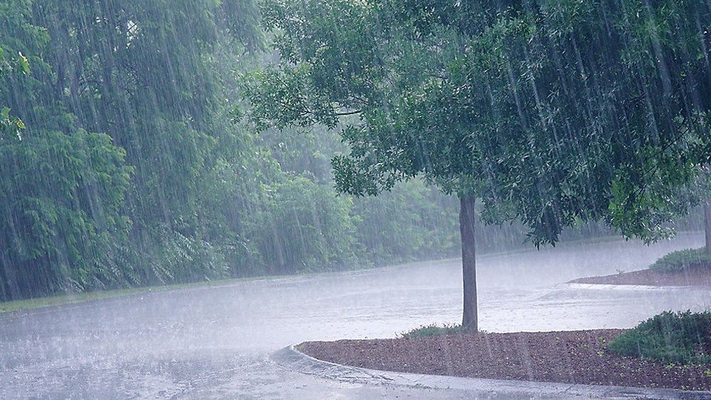 Southern Odisha to witness heavy rainfall: IMD