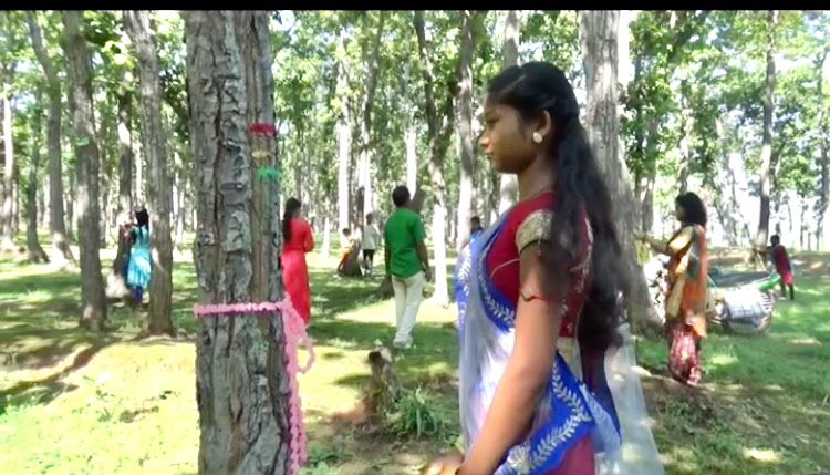 Girl Students Tying Rakhis On Trees, conveyed message on environment protection 
