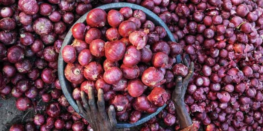 ଇଜିପ୍ଟ ଓ ତୁର୍କୀରୁ ଆସିବ ପିଆଜ