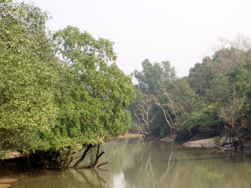 ଆଜିଠୁ ଭିତରକନିକା ବନ୍ଦ