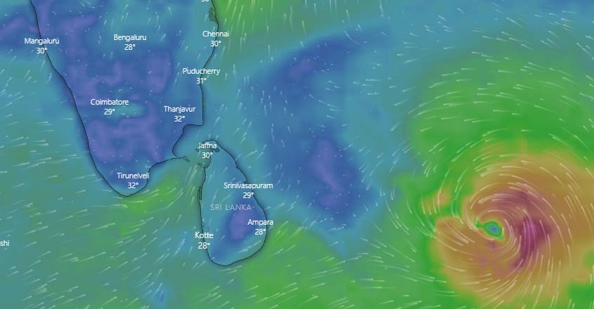ମାଟି ଘର ଭାଙ୍ଗିବ : ଉପୁଡିବ ଗଛ