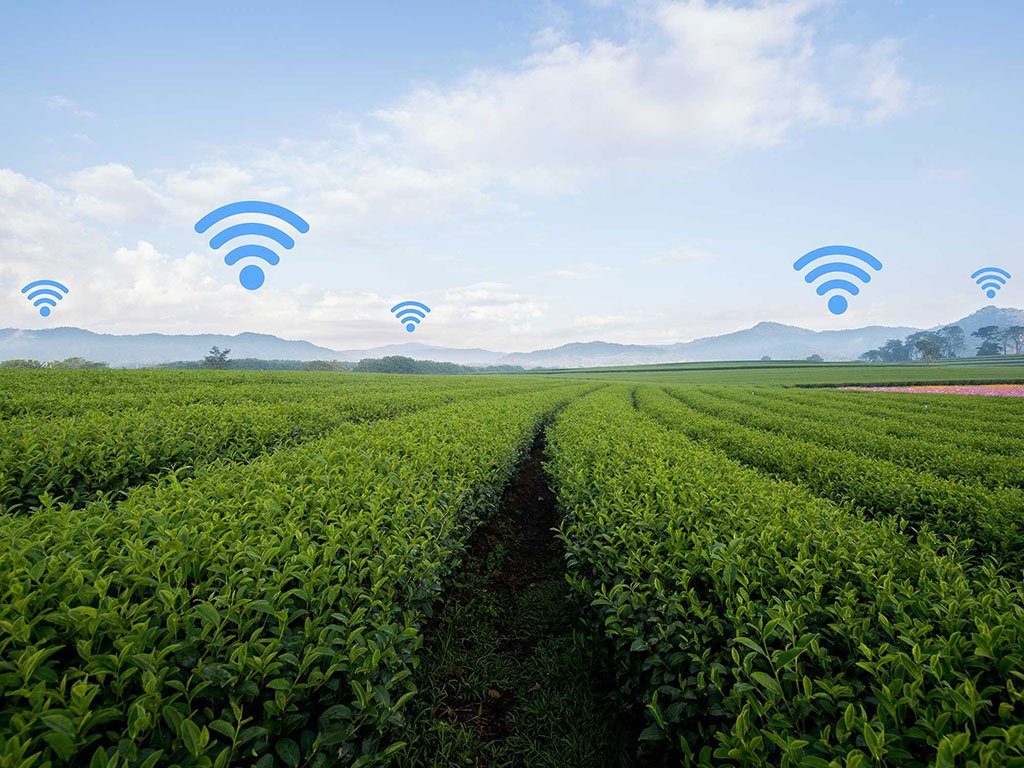 ଏଣିକି ଚାଷୀଙ୍କୁ ମିଳିବ ମାଗଣା ୱାଇଫାଇ