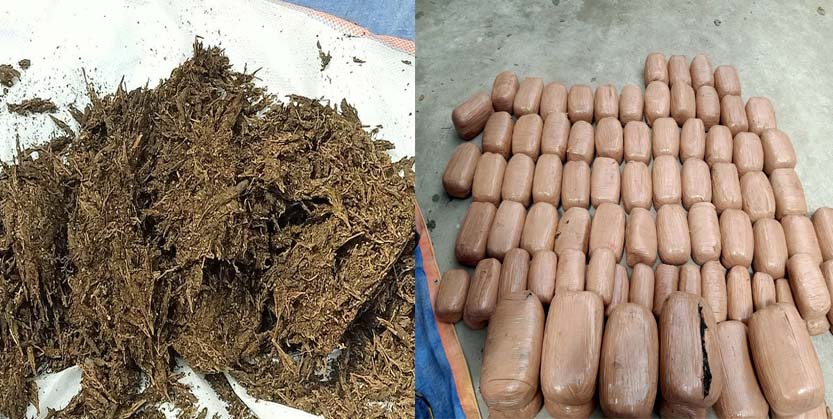 ୧ କୋଟିର ଗଞ୍ଜେଇ ଜବତ