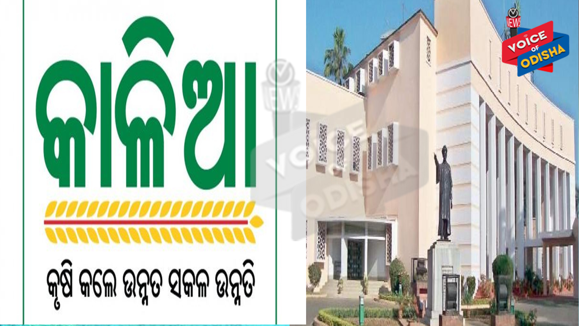 କାଳିଆ ଯୋଜନାରେ ଅଯୋଗ୍ୟଙ୍କ ସଂଖ୍ୟା ଲକ୍ଷେ ଟପିଛି