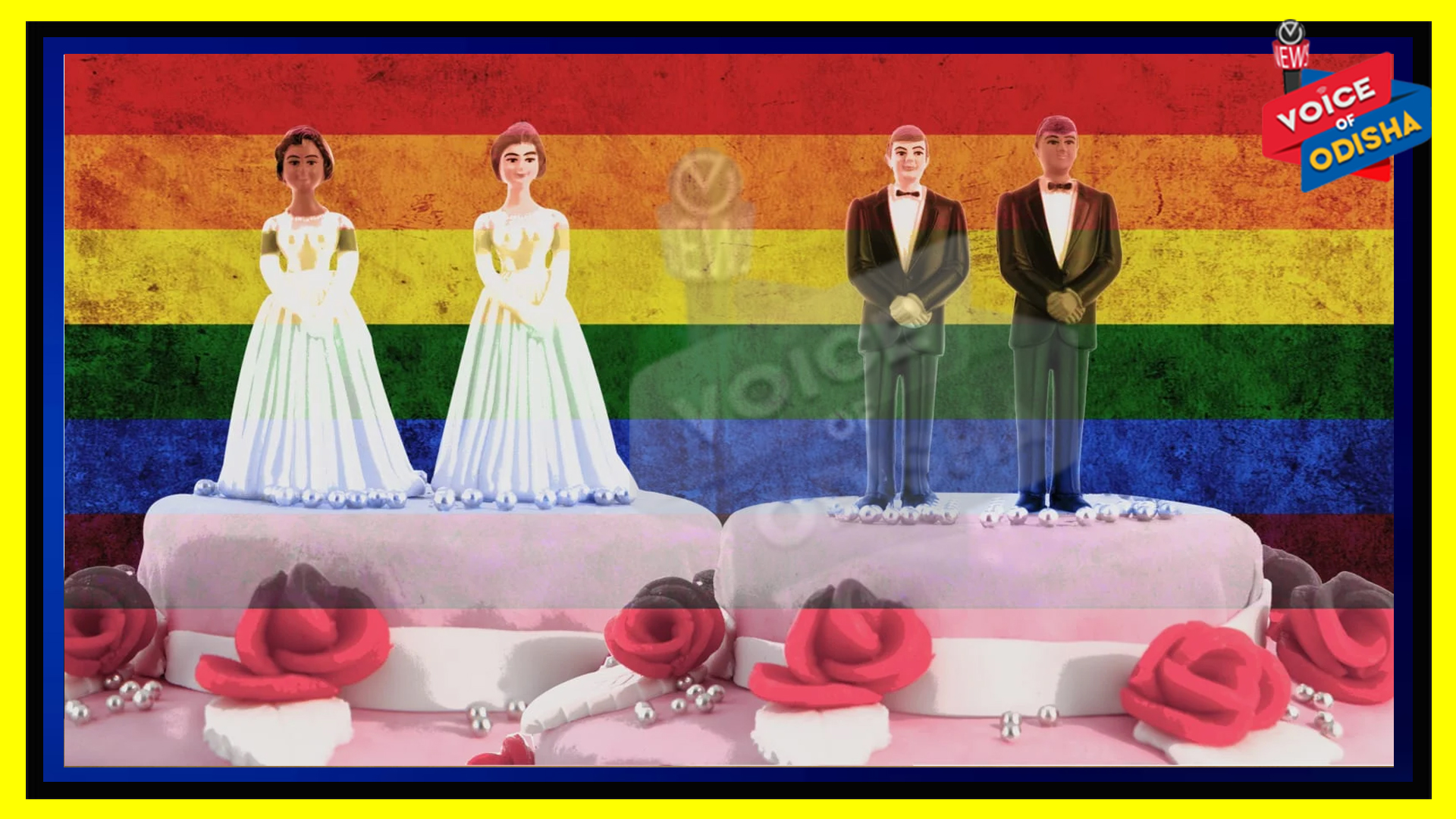 ସମଲିଙ୍ଗୀ ବିବାହ ମାନ୍ୟତାକୁ ସରକାରଙ୍କ ନା