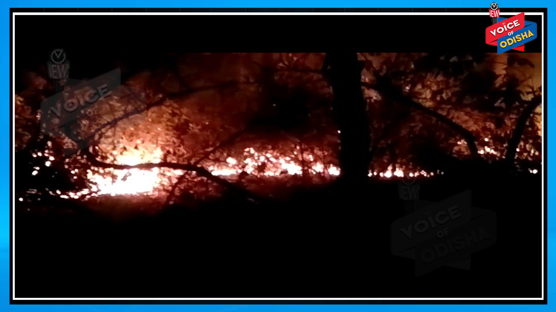 ଜଙ୍ଗଲ ନିଆଁ ପାଇଁ ଟାସ୍କଫୋର୍ସ