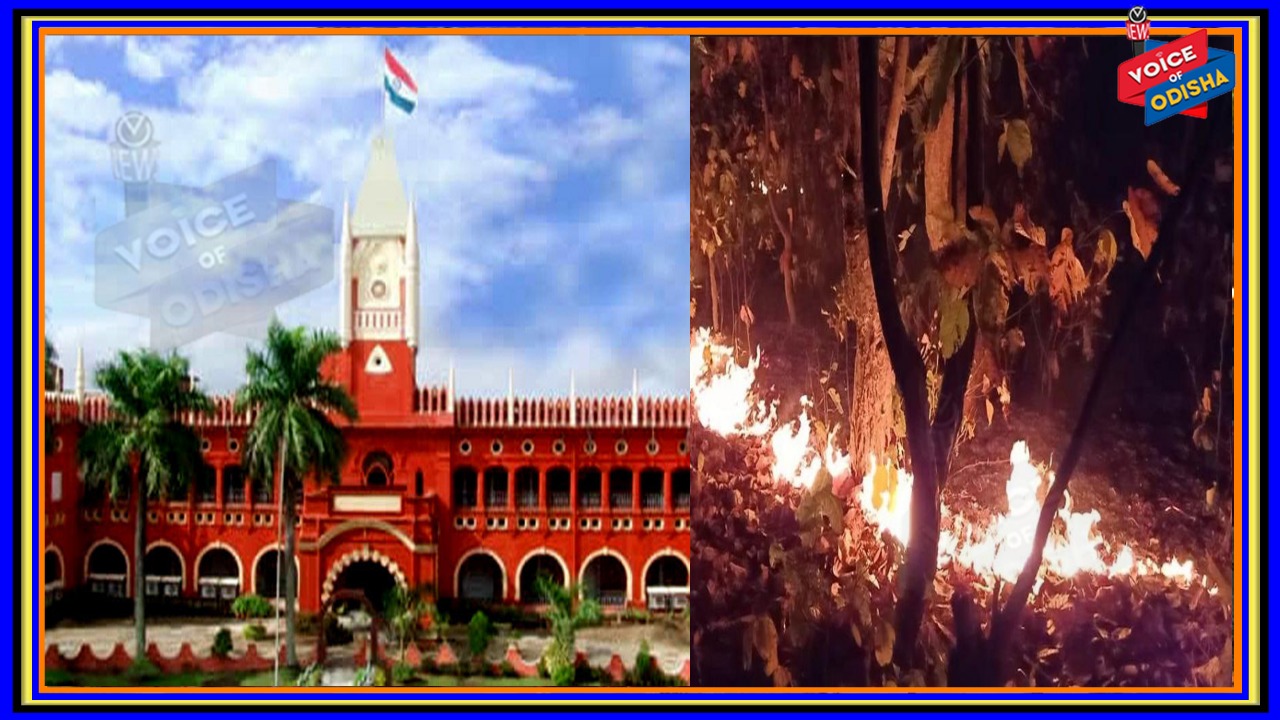 ଜଙ୍ଗଲ ନିଆଁ ନେଇ ହାଇକୋର୍ଟରେ ଜନସ୍ୱାର୍ଥ ମାମଲା