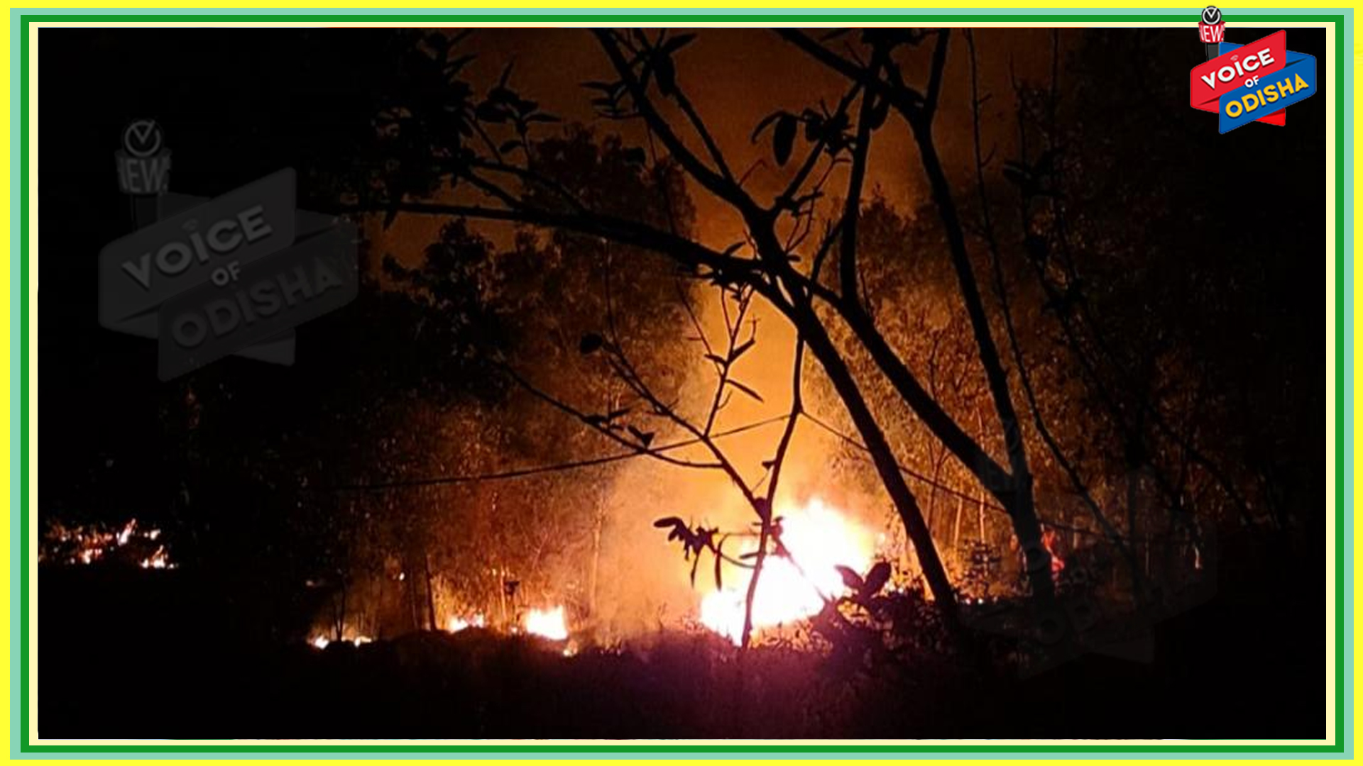 ବନ କର୍ମଚାରୀମାନଙ୍କ ଛୁଟି ବାତିଲ କଲେ ସମ୍ବଲପୁର ଡିଏଫଓ