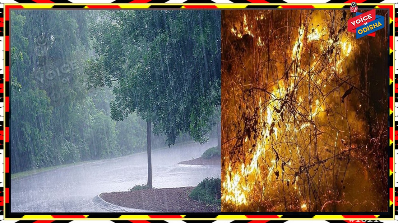 ଶିମିଳିପାଳରେ ଜଙ୍ଗଲରେ ବର୍ଷା