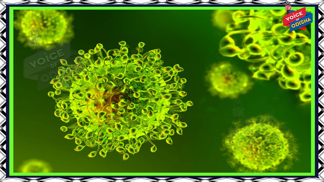 ରାଜ୍ୟରେ କରୋନାରୁ ଆଉ ୬୦ ଜଣ ସୁସ୍ଥ