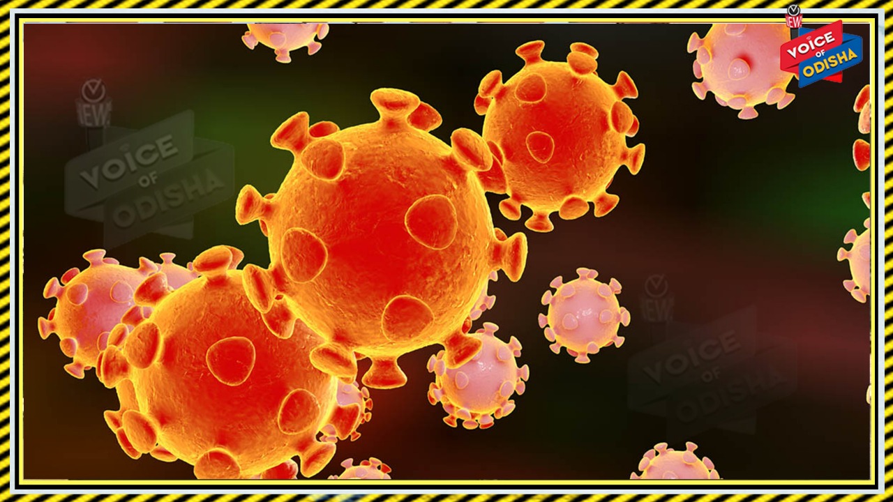 ନିହାତି ଜରୁରୀ ନଥିଲେ ମେଡିକାଲ ଆସିବା ମନା 