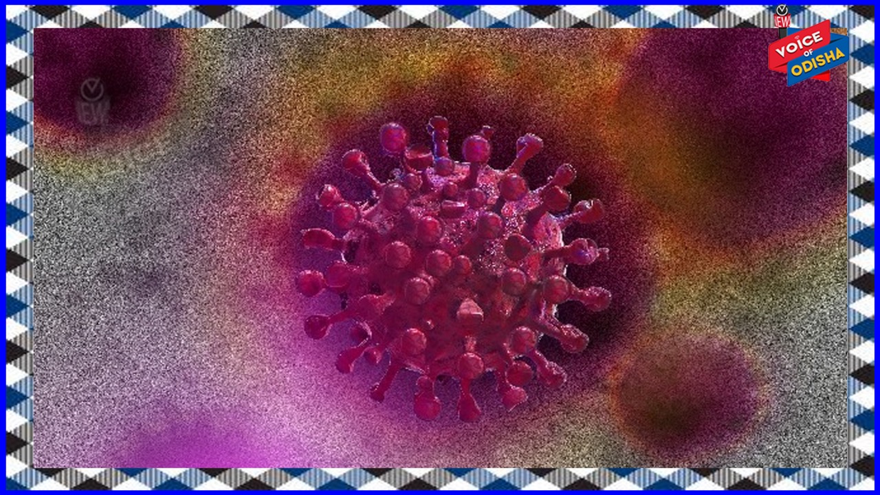 କୁମ୍ଭମେଳାରୁ କଟକ ଫେରିଥିବା ୧୩ ଜଣ ପଜିଟିଭ ଚିହ୍ନଟ 