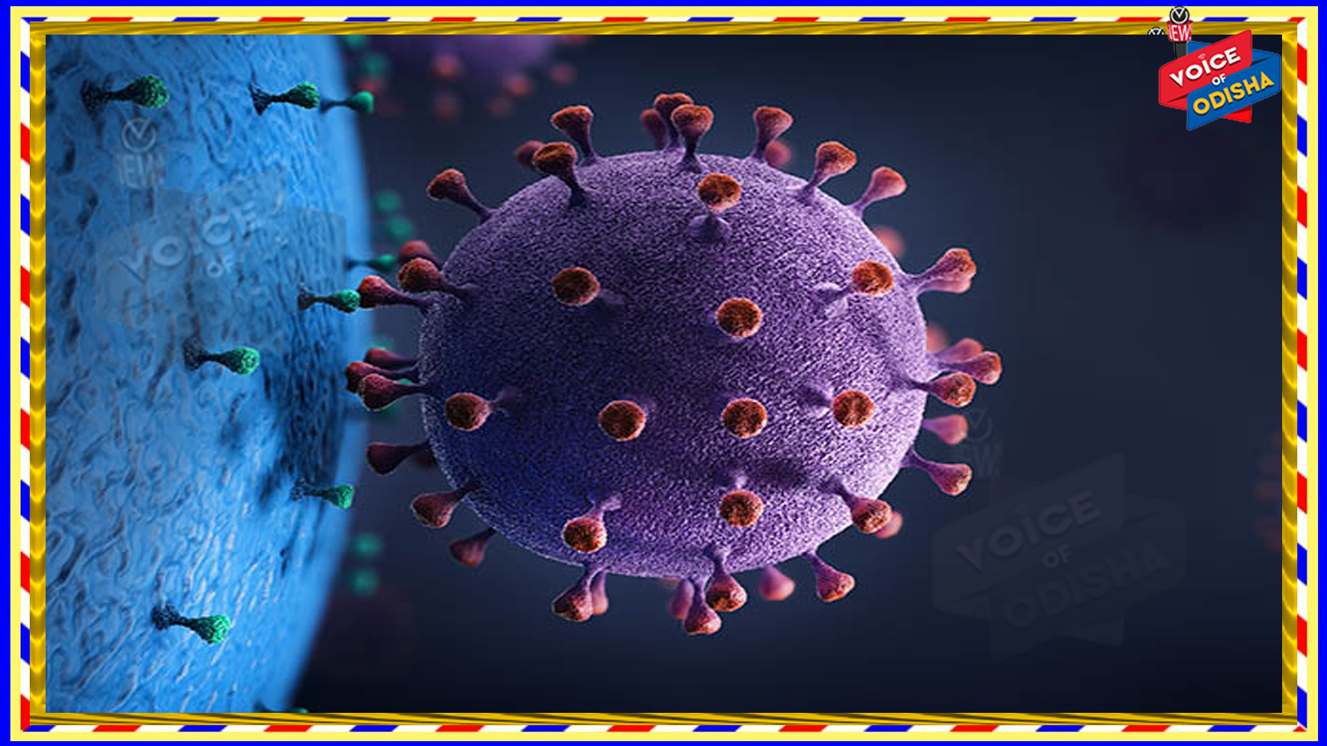 ସୋମବାର ସୁଦ୍ଧା ରିପୋର୍ଟ ଆସିଲେ ଜଣାପଡିବ ଟ୍ରିପଲ ମୁ୍ୟଟାଂଟ ଭାଇରସ୍ କଥା 