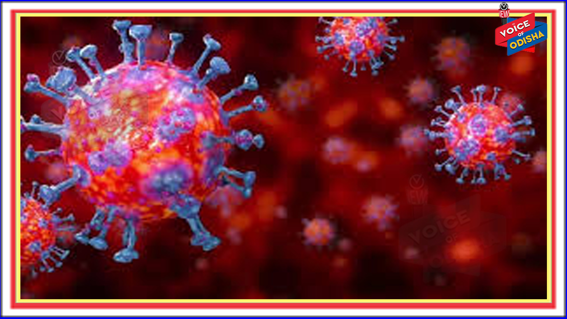  ଭାରତ କରୋନାର ଭୂତାଣୁ ଏବେ ୧୭ ଦେଶରେ ଠାବ