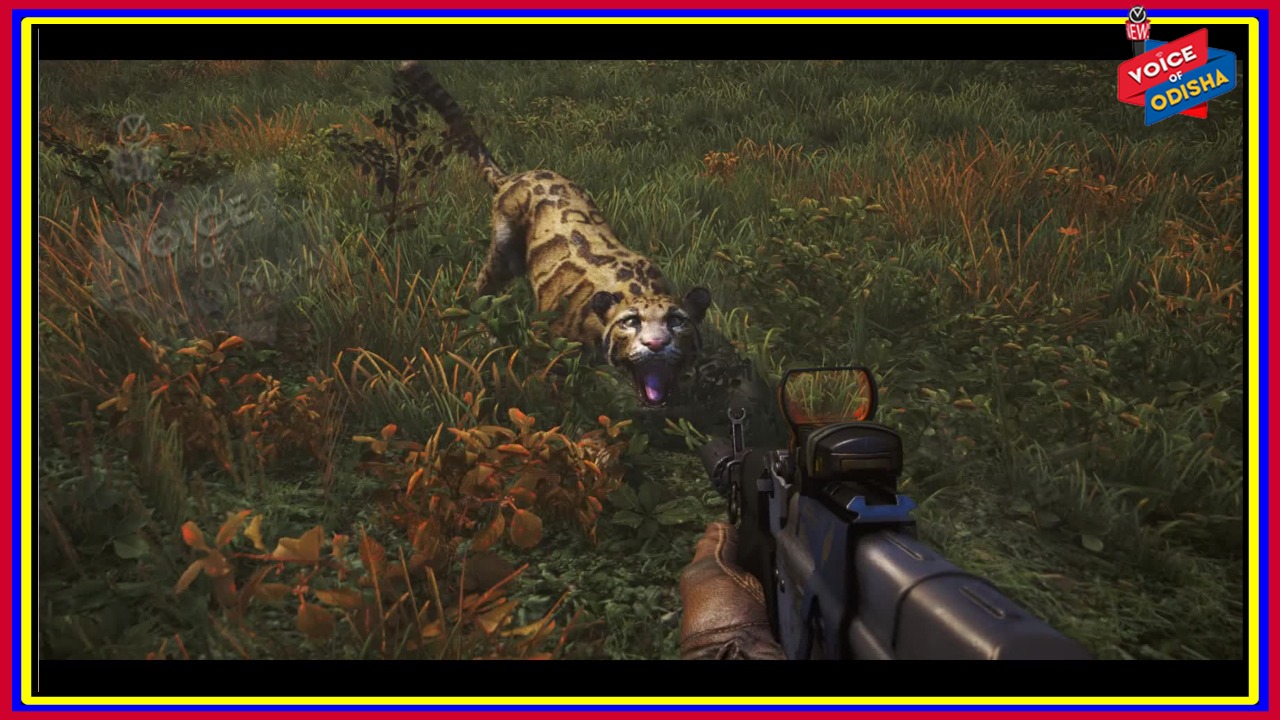 ଜୀବନ ବଞ୍ଚାଇବାକୁ ଯାଇ ଦେଶୀ ବନ୍ଧୁକରୁ ବାଘ ଉପରକୁ ଗୁଳି ଚଳାଇଥିଲି