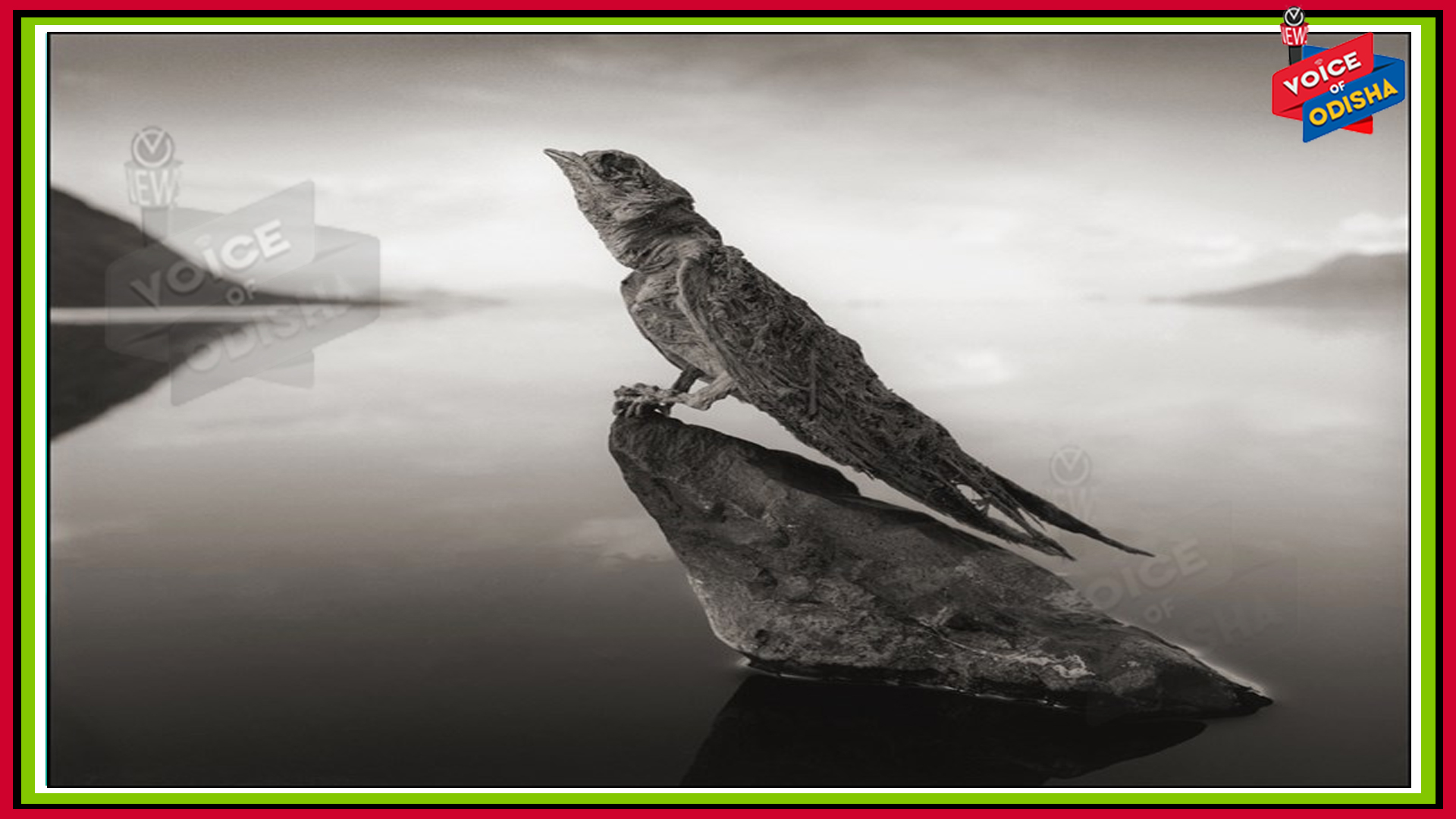 ହ୍ରଦ ପାଣିରେ ଲୋକ ପାଲଟିଯାଆନ୍ତି ପଥର, ଜାଣନ୍ତୁ ସେହି ରହସ୍ୟମୟ ହ୍ରଦର କାହାଣୀ