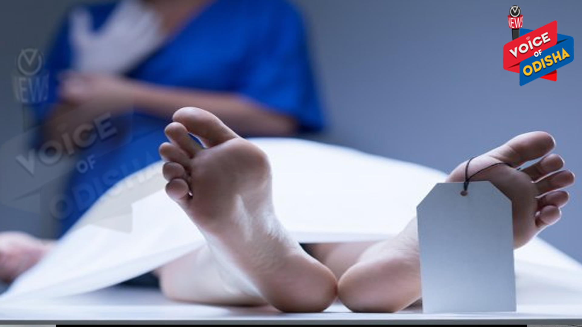 ବଜ୍ରାଘାତରେ ଦୁଇ ଚାଷୀ ମୃତ