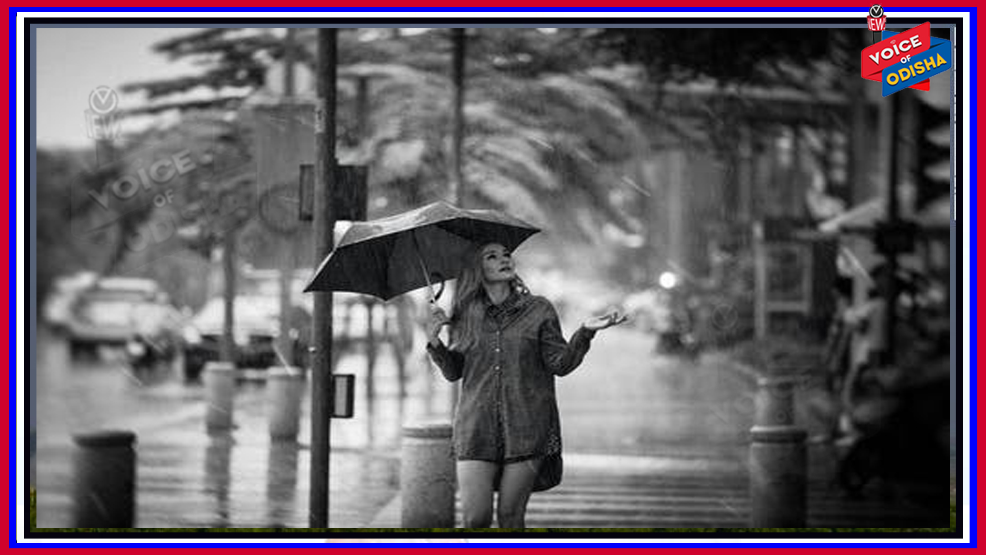 ଜୀବନର ବହୁ ସମସ୍ୟା ଦୂର କରିଥାଏ ବର୍ଷା ଜଳ