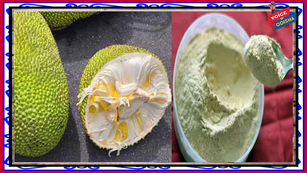 ଖାଆନ୍ତୁ ପଣସ ଅଟାରୁ ପ୍ରସ୍ତୁତ ରୁଟି, ମଧୁମେହ ରୋଗୀଙ୍କୁ ମିଳିବ ବିଶେଷ ଫାଇଦା