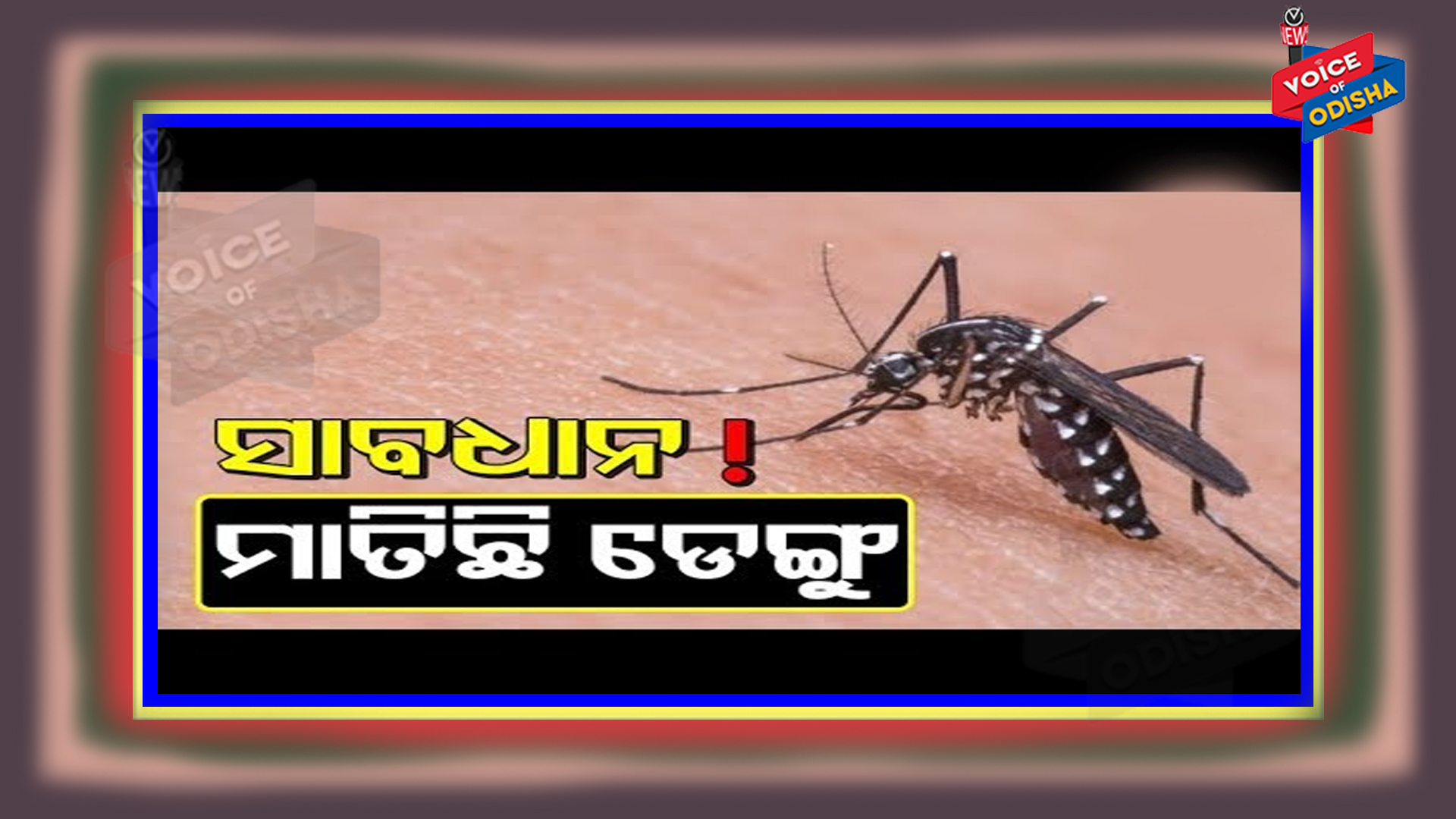 କରୋନାର ଭୟ ଭିତରେ ରାଜଧାନୀବାସୀଙ୍କୁ ଘାରିଛି ଡେଙ୍ଗୁ ଭୟ :  ଆଜି ଭୁବନେଶ୍ୱରରେ ଆଉ ୩୦ ଡେଙ୍ଗୁ ରୋଗୀ ଚିହ୍ନଟ