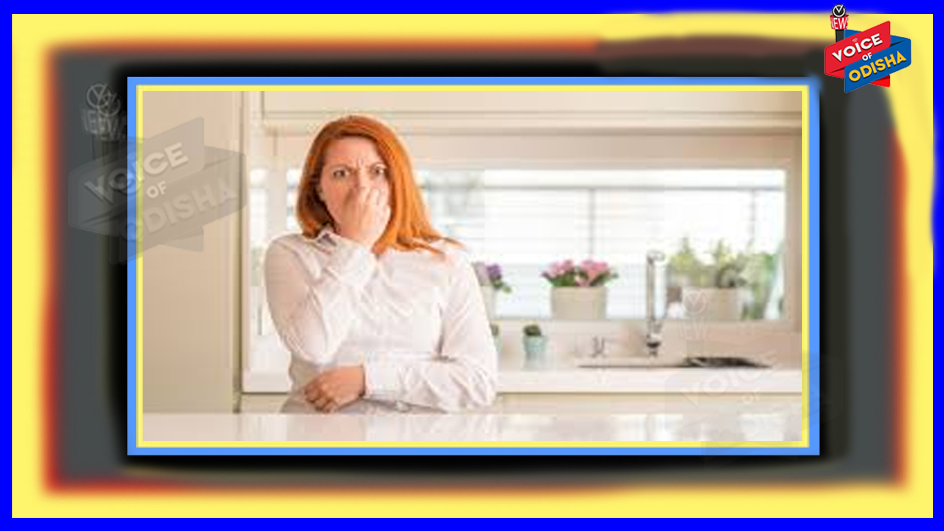 ଆପଣଙ୍କ ଘରୁ ଦୁର୍ଗନ୍ଧ ବାହାରୁଛି କି? ଆପଣାନ୍ତୁ ଏହି ସବୁ ଉପାୟ