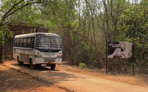 ନନ୍ଦନକାନନ ସିଂହ ସଫାରୀରେ ଫସିଲା ବସ