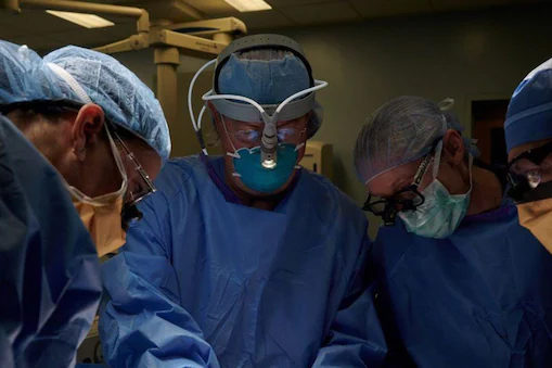 ମଣିଷ ଦେହରେ ଘୁଷୁରି କିଡନିର ସଫଳ ପ୍ରତିରୋପଣ