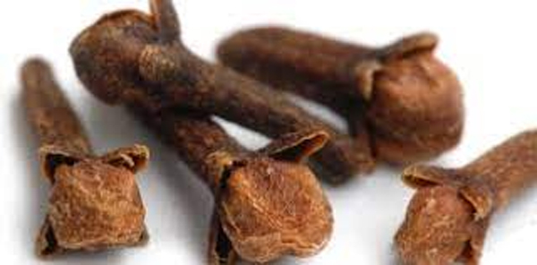 ଲବଙ୍ଗ କରାଇପାରେ କୋଟିପତି, କରନ୍ତୁ ଏହି କାମ