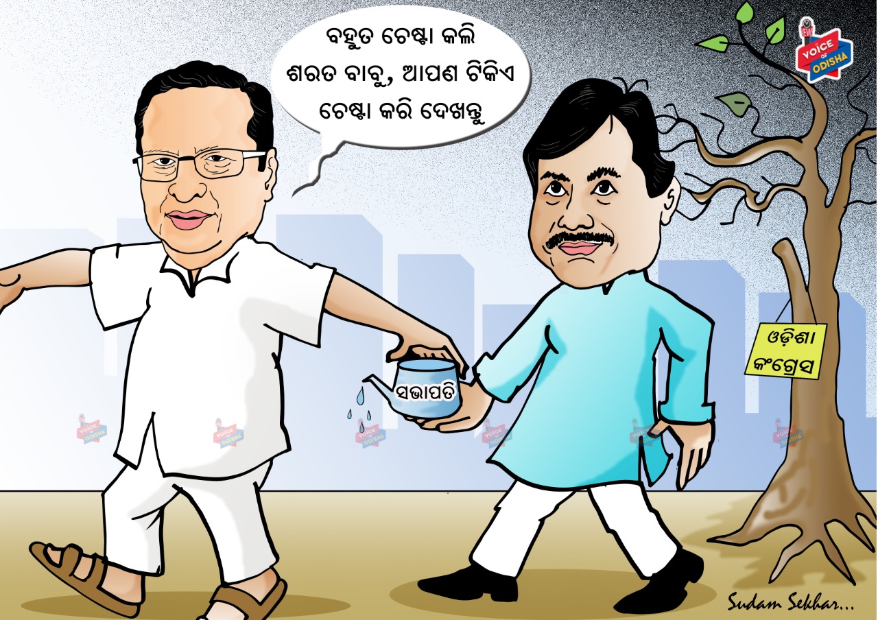 ଏବେ ତୁମେ ସମ୍ଭାଳ!