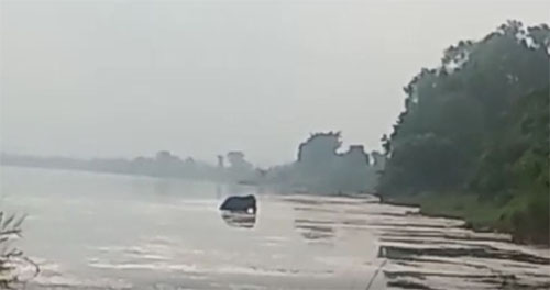 ମହାନଦୀ ମଝିରେ ଫସି ରହିଛନ୍ତି ଦୁଇ ହାତୀ
