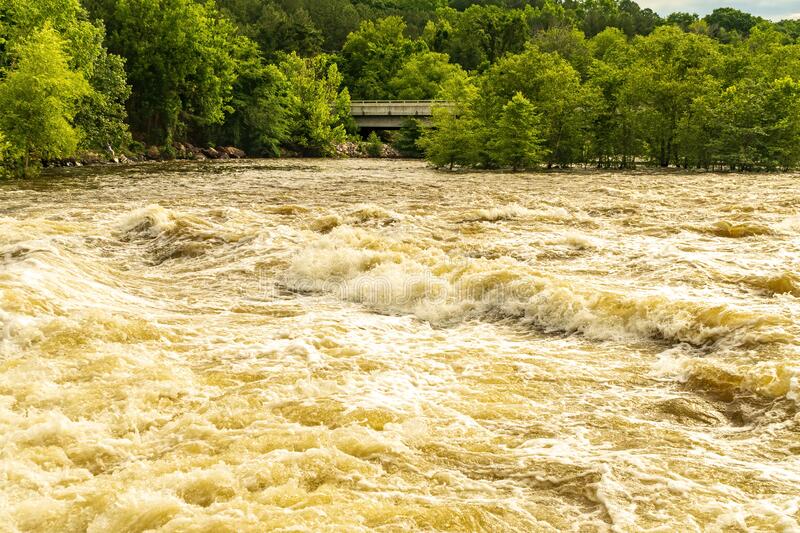 ବିପଦ ସଂକେତ ଉପରେ ବଂଶଧାରା