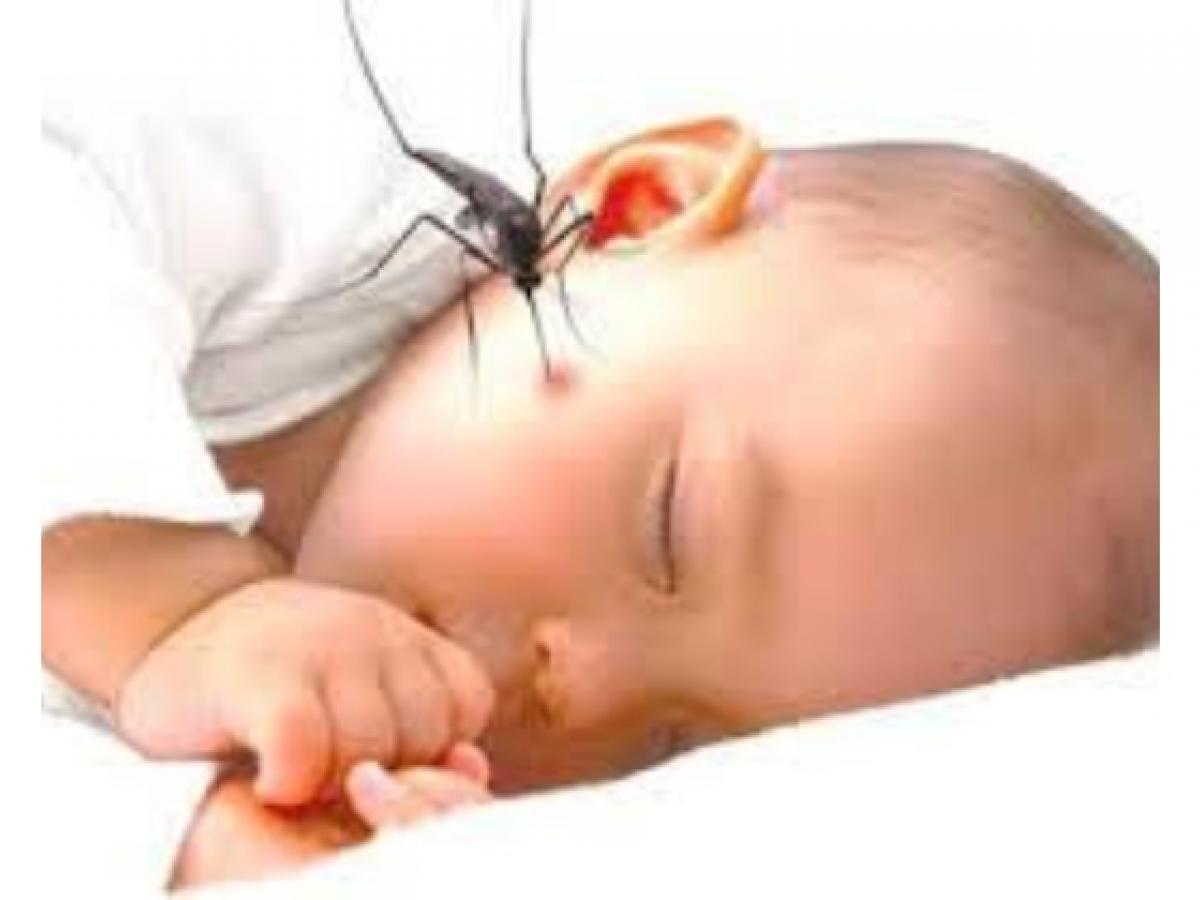 ପିଲାଙ୍କ ଠାରେ ଦେଖାଯାଉଛିକି ଡେଙ୍ଗୁର ଲକ୍ଷଣ, ଏମିତି କରନ୍ତୁ 