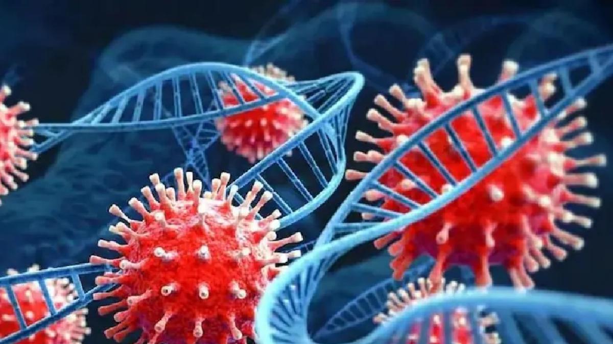  ନଭେମ୍ବରରେ ଫେରିବ କରୋନା !