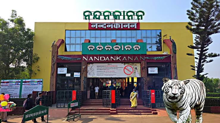 ନନ୍ଦନକାନନ ପାଇଁ ଖୁସି ଖବର, ଜାଣନ୍ତୁ କ'ଣ 
