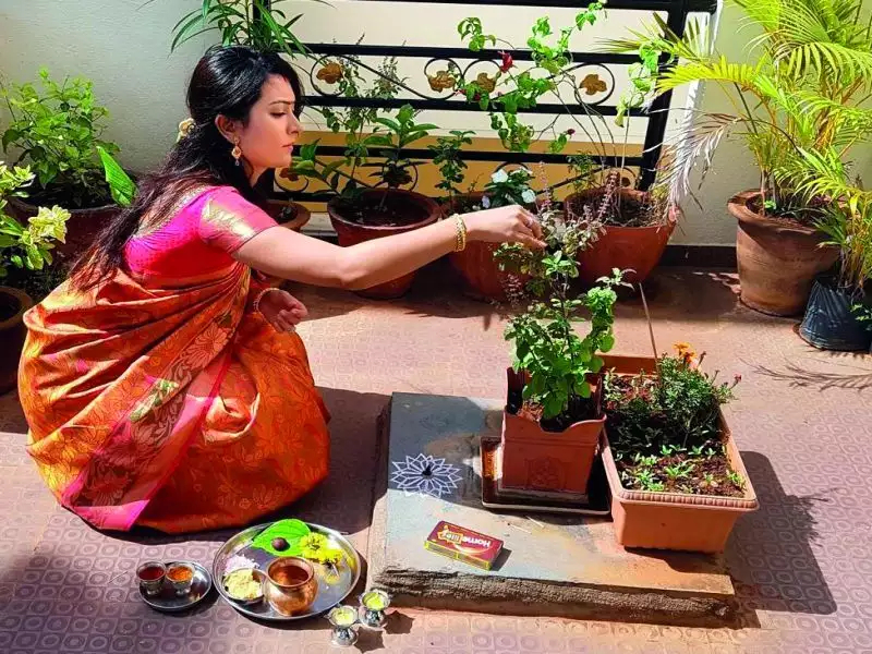 ଆର୍ଥିକ ସମସ୍ୟା ଦେଖାଯାଉଛି କି? କରନ୍ତୁ ତୁଳସୀ ପୂଜା