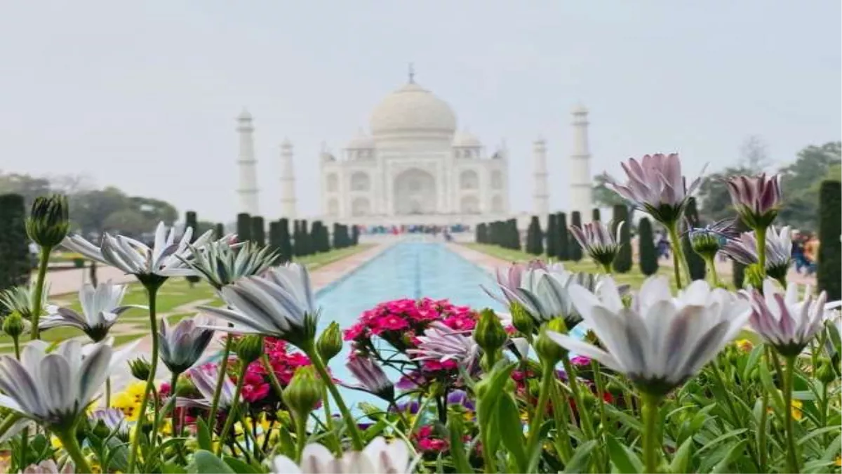 ପୁଣି ତାଜମହଲ ଭିତରେ ନମାଜ ପାଠ