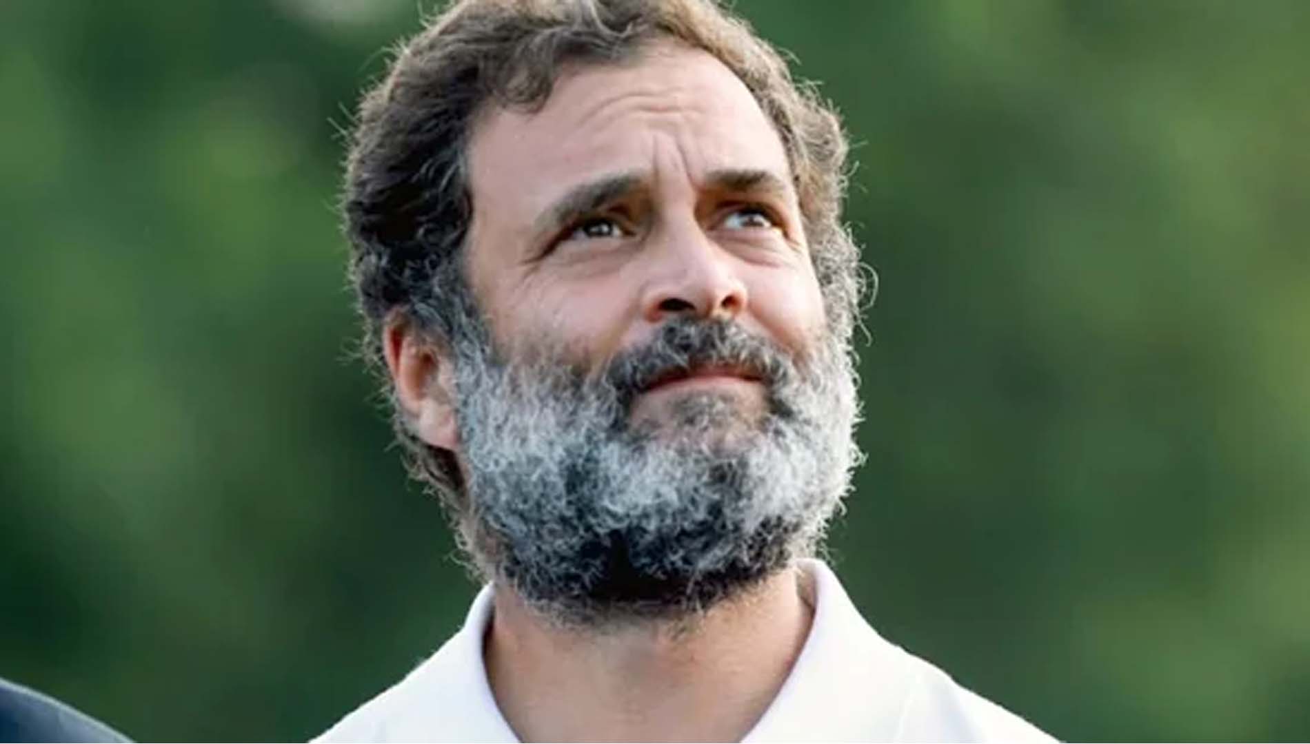 ରାହୁଲ୍‌ ଗାନ୍ଧୀ ସଦ୍ଦାମ୍‌ ହୁସେନ୍‌ଙ୍କ ପରି ଦିଶୁଛନ୍ତି : ଆସାମ ମୁଖ୍ୟମନ୍ତ୍ରୀ 