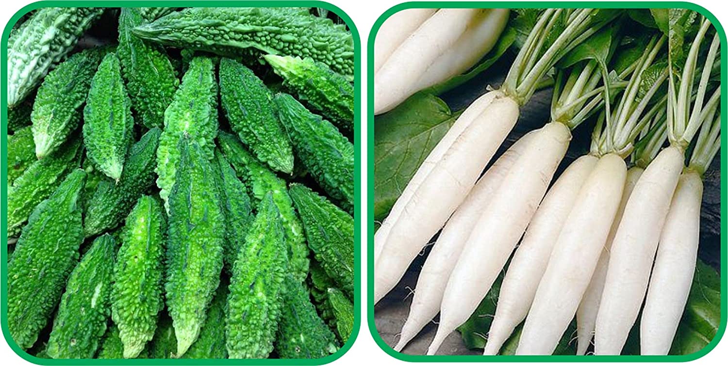 ମୂଳା ସହିତ ଖାଆନ୍ତୁ ନାହିଁ ଏହି ସବୁ ଜିନିଷ, ବିପଦରେ ପଡିବେ 