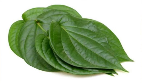 ପାନପତ୍ରର ଚମତ୍କାରିତା
