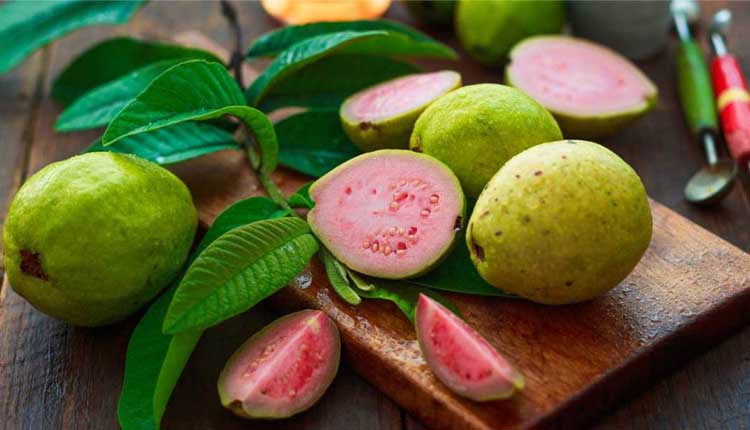 ପ୍ରତ୍ୟେକ ଦିନ ପିଜୁଳି ଖାଇବା ଦ୍ୱାରା ମିଳିଥାଏ ଏହି ସବୁ ଫାଇଦା
