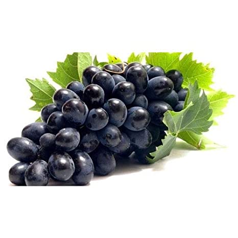 ଶୀତଦିନେ ଖାଆନ୍ତୁ ଅଙ୍ଗୁର, ରହିବେ ସୁସ୍ଥ 