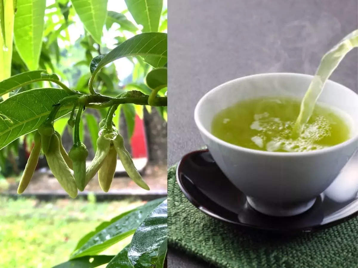 ପିଅନ୍ତୁ ଆତ ପତ୍ରରେ ପ୍ରସ୍ତୁତ ଚା’, ମିଳିବ ଏହି ସମସ୍ୟାରୁ ମୁକ୍ତି 