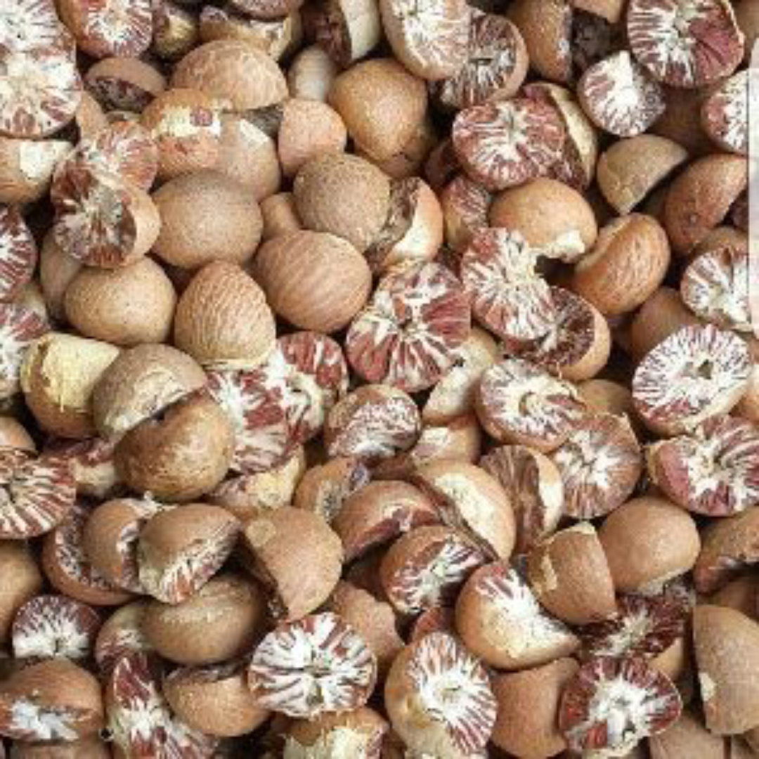 ଗୁଆ ଦୂର କରିବ ପେଟ ଓ ବାନ୍ତି ସମସ୍ୟା, ଜାଣନ୍ତୁ କିପରି?  