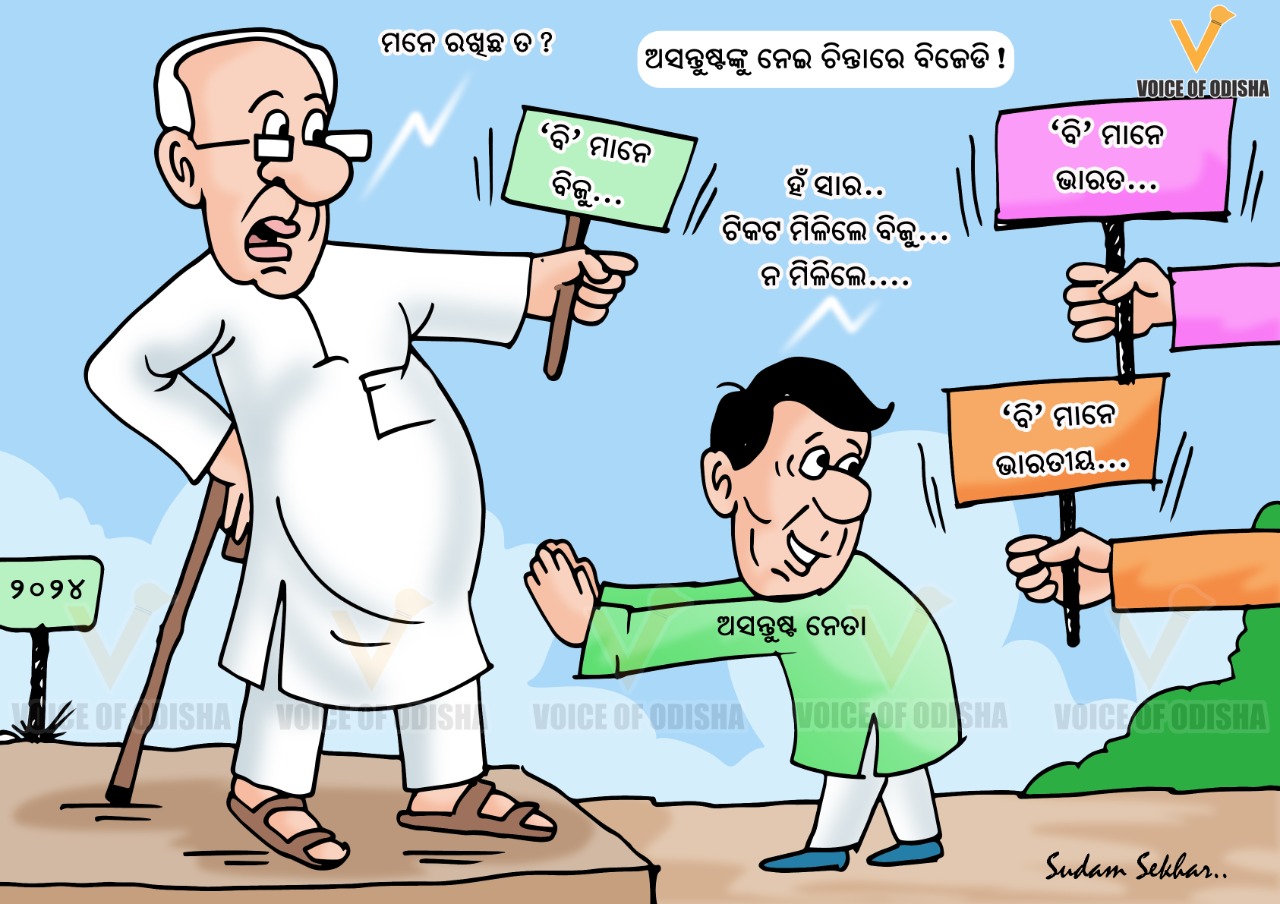 ବି ମାନେ ବିଜୁ ନା ଭାରତୀୟ 