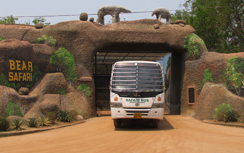 ଖୋଲିଲା ଭାଲୁ ସଫାରୀ