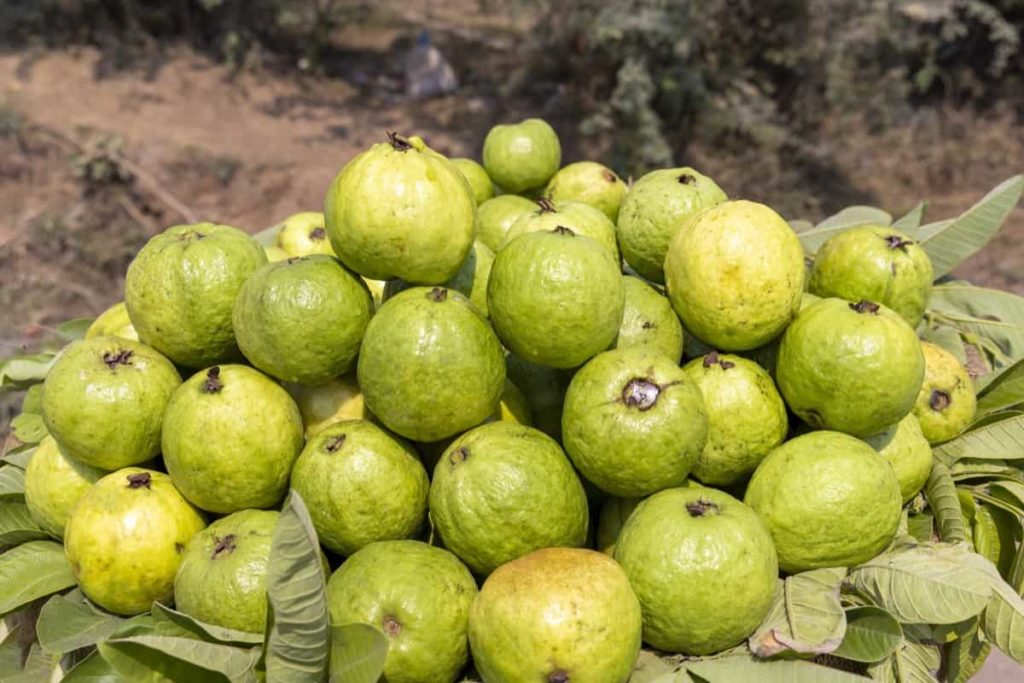 ଖାଆନ୍ତୁ ଏହି ଫଳ, ଅଧିକ ସମୟ ପର୍ଯ୍ୟନ୍ତ ଲାଗିବନି ଭୋକ