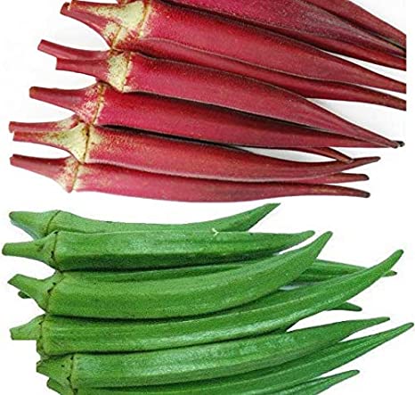 ଏହି ପରିବା କରେ ଡାଇବେଟିସ୍‌ କଣ୍ଟ୍ରୋଲ 